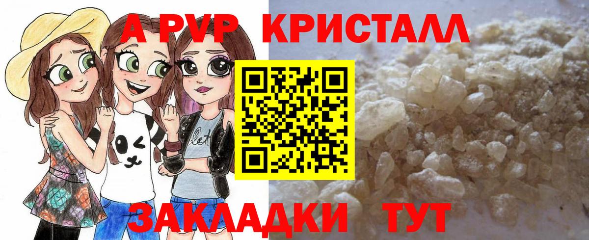 A-PVP СК Дальнегорск