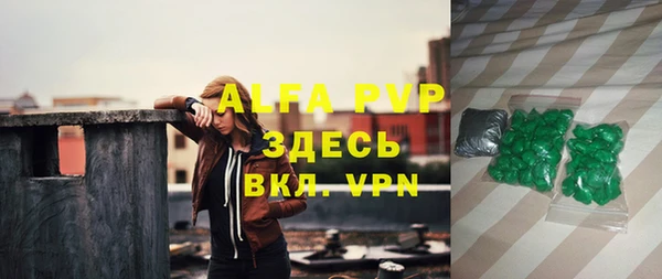 стаф Вязьма