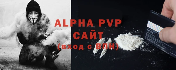 стаф Вязьма