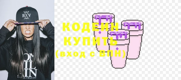 стаф Вязьма