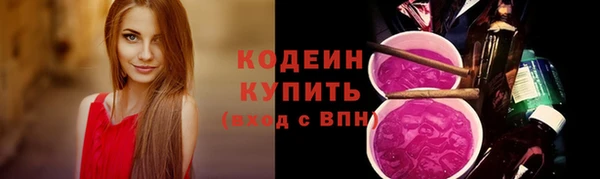 стаф Вязьма