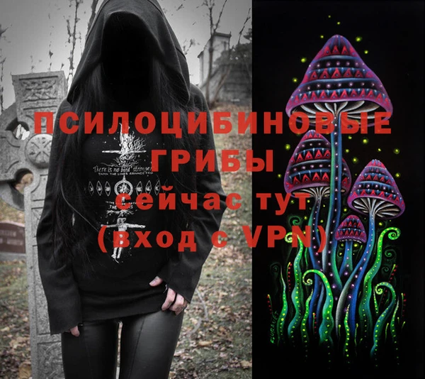 стаф Вязьма