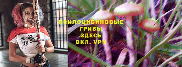 стаф Вязьма