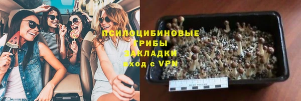 стаф Вязьма