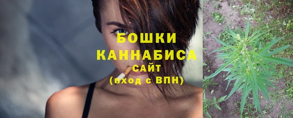 стаф Вязьма