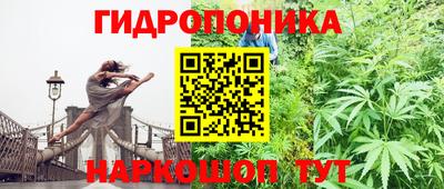 эйфоретик Пугачёв