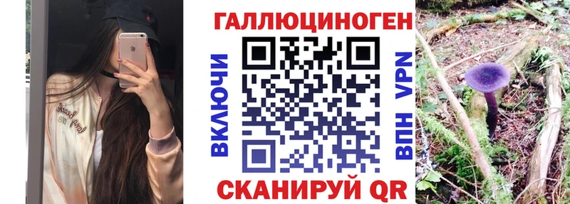 Псилоцибиновые грибы Cubensis  закладка  Дальнегорск 