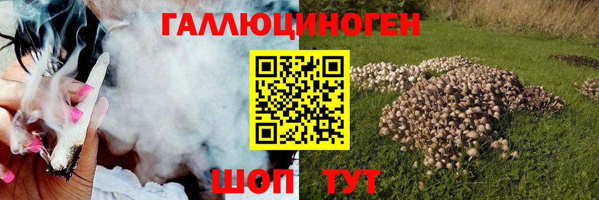 Псилоцибиновые грибы GOLDEN TEACHER Дальнегорск