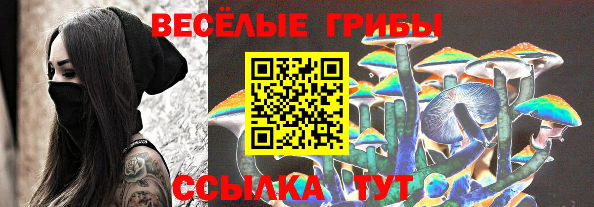 Галлюциногенные грибы мицелий  Галлюциногенные грибы мухоморы  что такое наркотик  Вход с VPN  Дальнегорск 